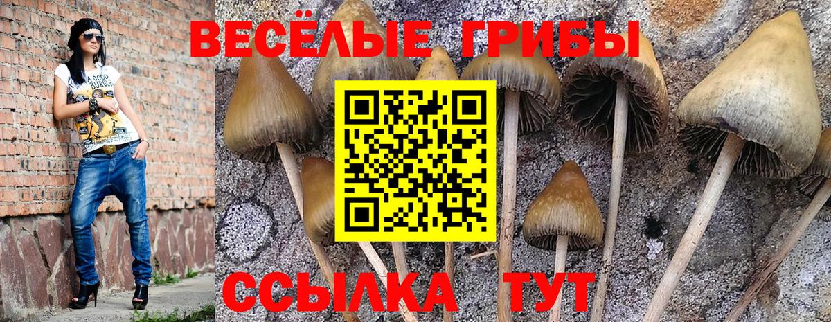 Серов  Псилоцибиновые грибы MAGIC MUSHROOMS  Вход с VPN  Псилоцибиновые грибы Psilocybine cubensis 
