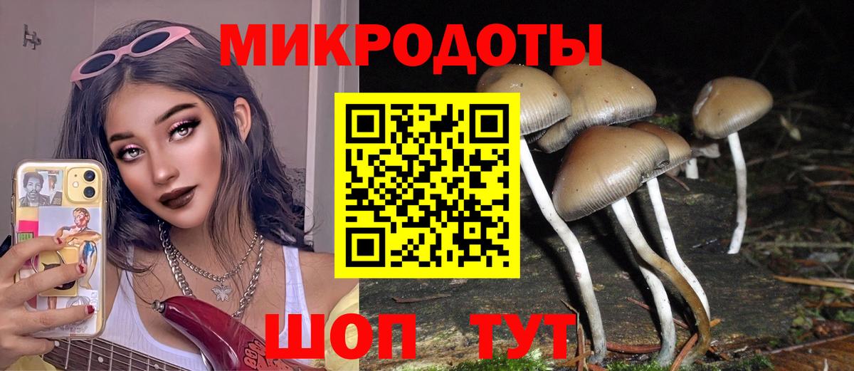 Галлюциногенные грибы мицелий Серов